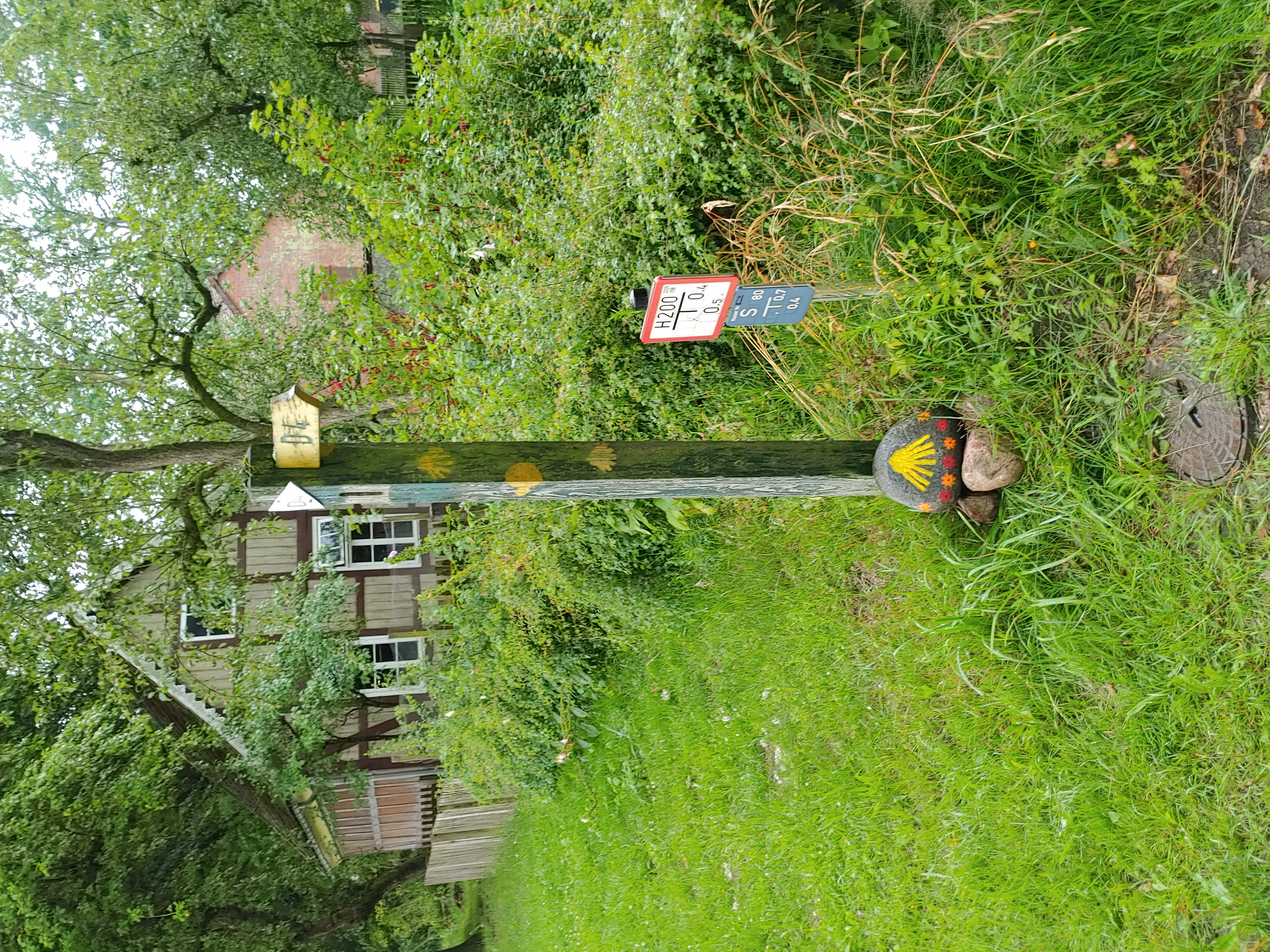 Innovationen überall